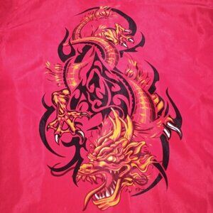 Xtreme Limit Boys Red Button Up Shirt Dragon Graphic Front and Back Size 6 7